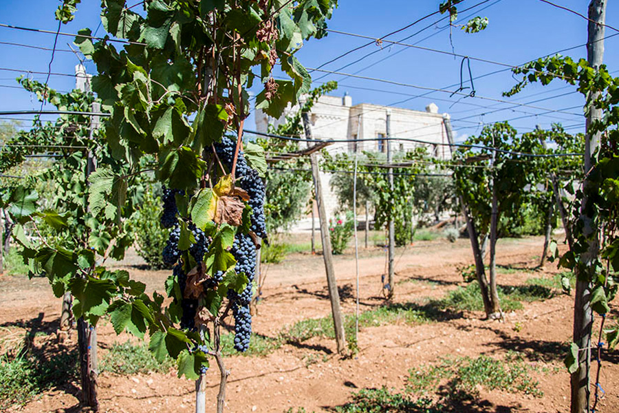 alba adriatica hotel sul mare