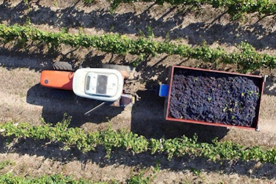 alberghi alba adriatica