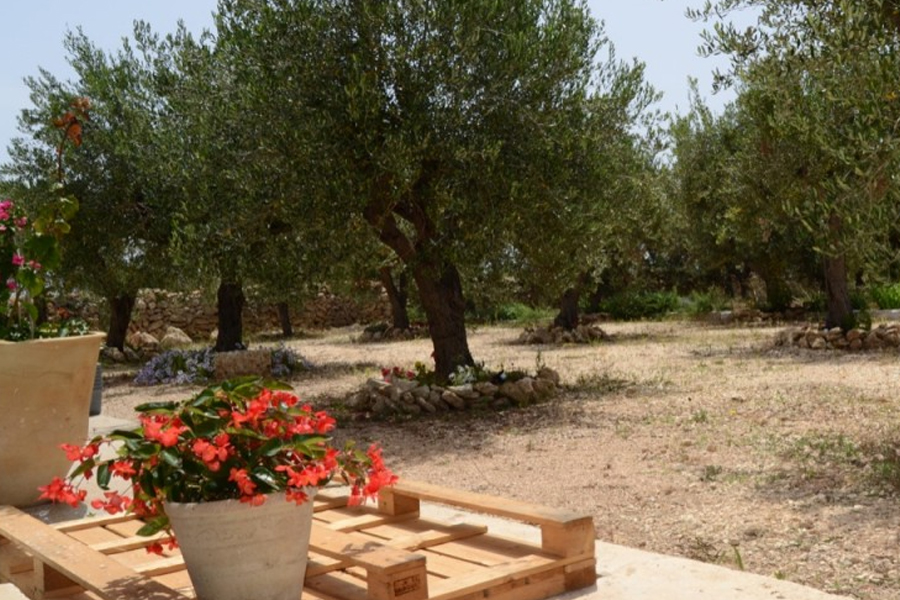 hotel abruzzo sul mare