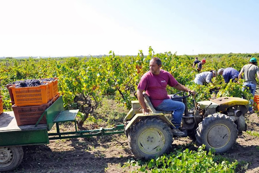 alberghi alba adriatica